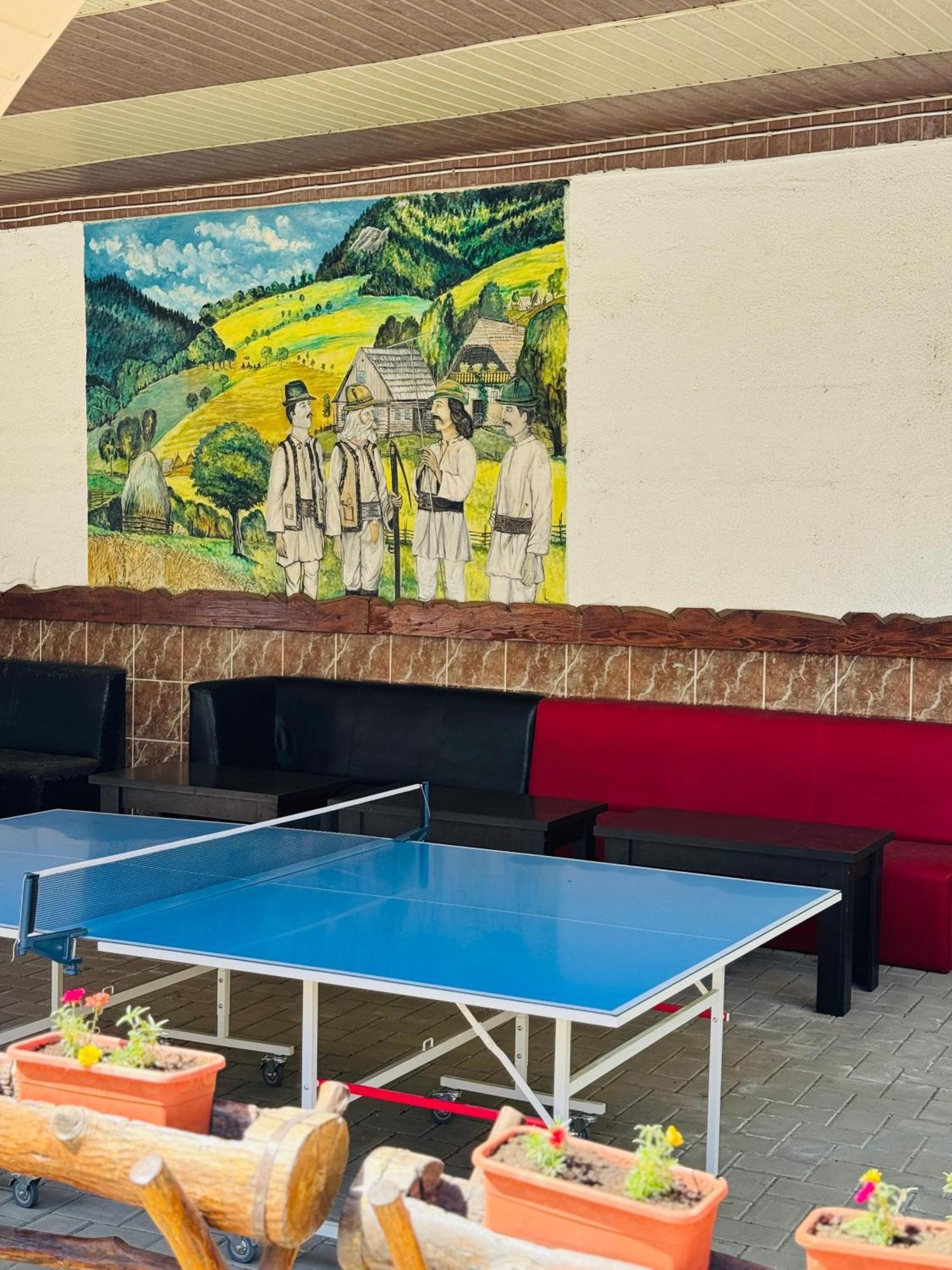 Hostel „La Galan” Rădăuţi Extérieur photo