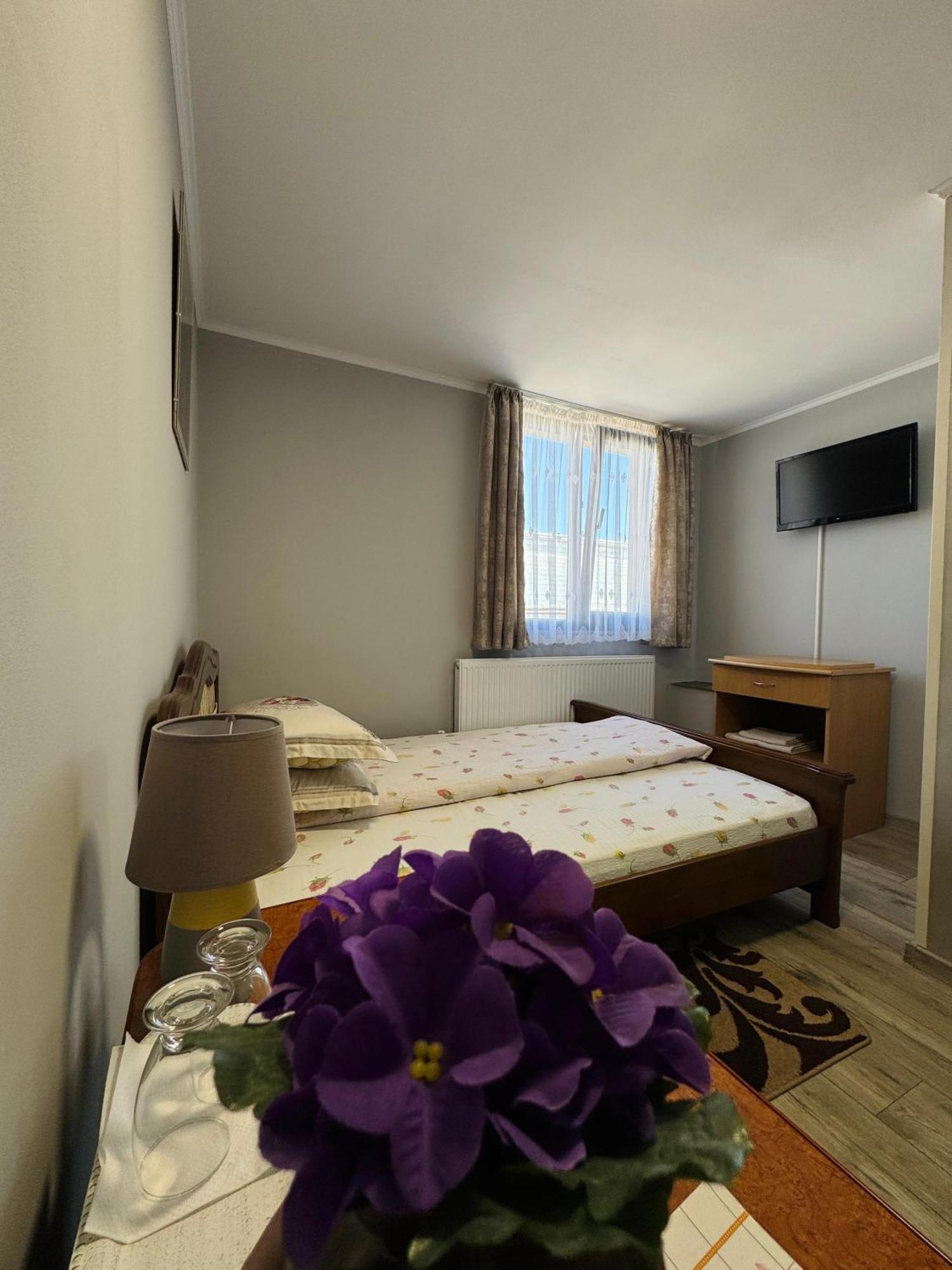 Hostel „La Galan” Rădăuţi Extérieur photo