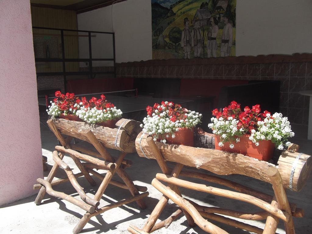 Hostel „La Galan” Rădăuţi Extérieur photo